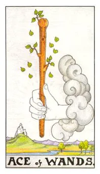权杖王牌 Ace of Wands 塔罗牌牌面