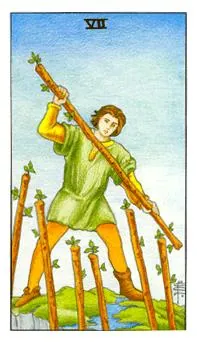 权杖七 Seven of Wands 塔罗牌牌面