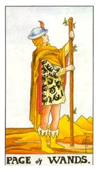 权杖侍从 Page of Wands 塔罗牌牌面