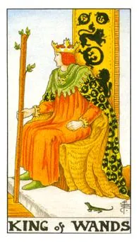 权杖国王 King of Wands 塔罗牌牌面