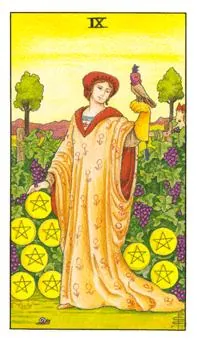 星币九 Nine of Pentacles 塔罗牌牌面